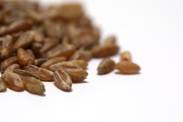 Grünkern