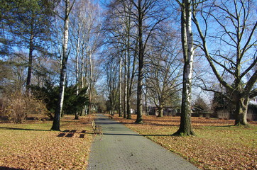 Autumn park