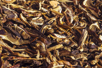 Sun-drying  porcini mushrooms