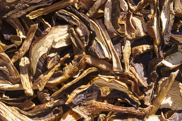 Sun-drying porcini mushrooms