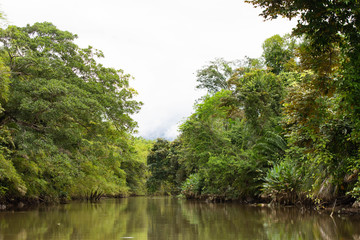 Fototapeta premium River cruise costa rica