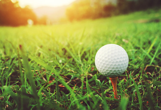 Close up golf ball with nature background.