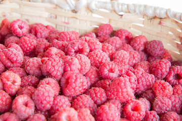 Fresh ripe berry in closeup. background of ripe juicy raspberries