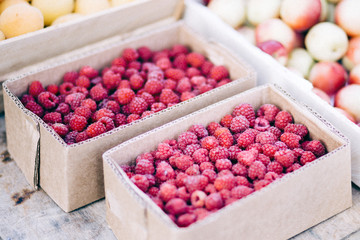 Red raspberries in cardboard boxes for sale
