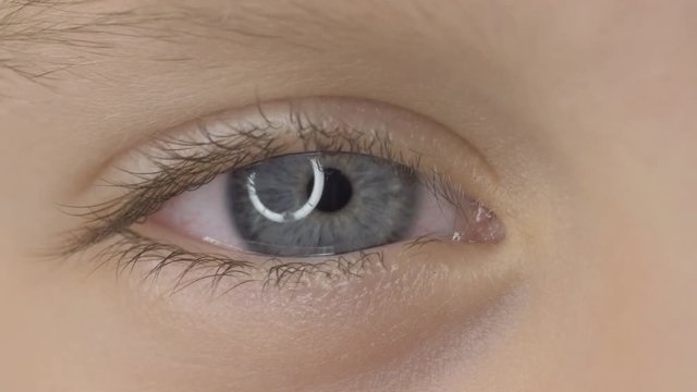 
Closeup of child's eye macro looking at camera. Selective focus.