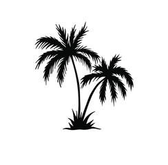 Tropical, palm, vector illustration