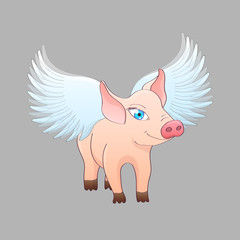 Piglet with wings isolated on gray background