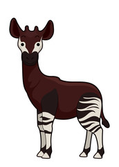 Okapi Illustration