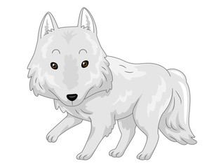 White Wolf Illustration