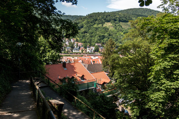 Fototapeta na wymiar Aufstieg, Weg zum Heidelberger Schloss, Heidelberg, Baden Württemberg, Deutschland