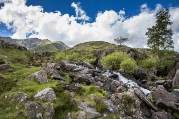 Fototapeta na wymiar Wasserlauf in Snowdonia - Wales