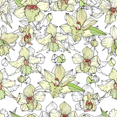 Seamless pattern with white orchids. Endless texture for floral design.