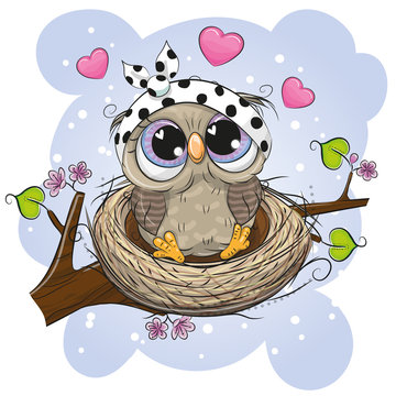 Cartoon Owl in a nest on a branch