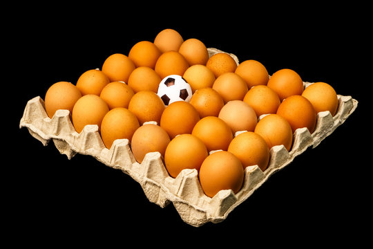 Soccer ball among the eggs in the egg tray