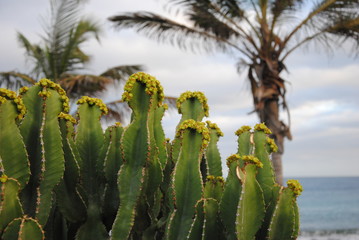 Lanzarote