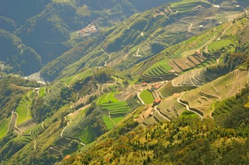 Terraced Fields in Hehuan Mountain, Nantou, Taiwan