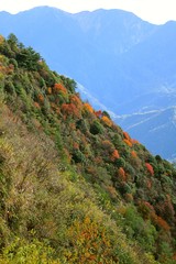 Beautiful Landscape and clouds in Autumn in Hehuan Mountain, Nantou, Taiwan