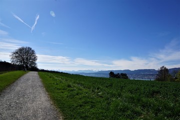 Wiese und Wanderweg in Zollikon im Kanton Z&uuml;rich in der Schweiz im April 