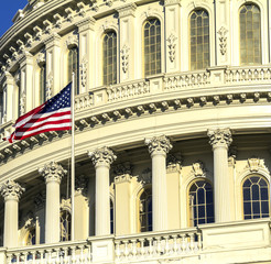 Fototapeta premium United States Capitol Building, Washington DC, USA