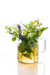 Fresh herbs and herbal tea, isolated on white