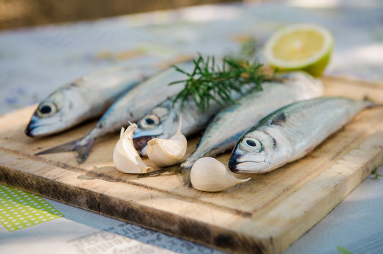Raw mackerel with claws of garlic and lemon on wooden plate. Fresh fish
