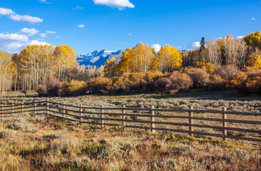 Scenic Colorado Autumn Landscape