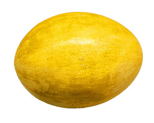 Dinosaur egg isolated on white background.