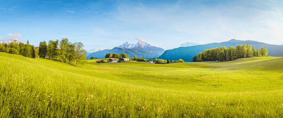 Idyllische Landschaft in den Alpen mit blühenden Wiesen im Frühling