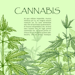 Cannabis hand draw poster