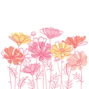 Vector bouquet with outline Cosmos or Cosmea flower bunch, ornate leaf and bud in pastel pink and orange isolated on white background. Contour blooming Cosmos plant for enjoy summer design.