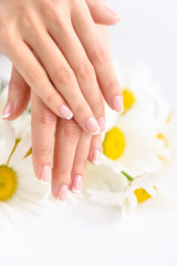 Obraz na płótnie Canvas Beautiful woman french manicured hands with fresh daisy flowers