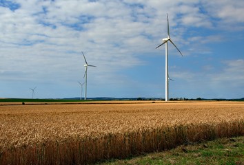 elektrownie wiatrowe © Maciej