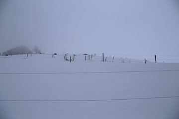 winter wonderland im schwarzwald
