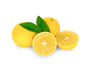 lime slice  isolated on white background