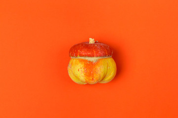 Small decorative pumpkin on bright orange background top view