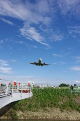 飛行機
