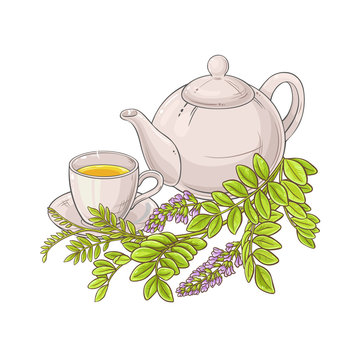 licorice tea illustration