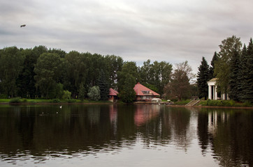 beauty, Wallpaper, background