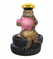 The cat in a yellow taxi driver hat sits on the stack of car wheels and holds pink piggy bank for...