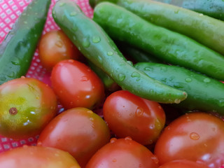 A harvest from a small garden in the house