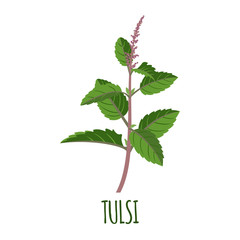 Tulsi icon in flat style on white background