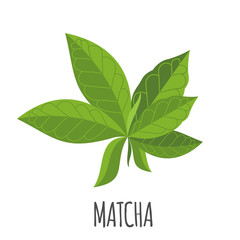 Matcha icon in flat style isolated on white.