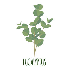 Eucaliptys icon in flat style isolated on white.