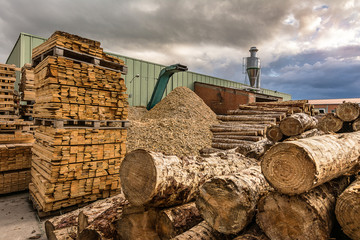 Crushing machine of wood and logs to process waste and transform into pellets