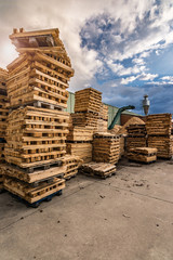 Crushing machine of wood and logs to process waste and transform into pellets