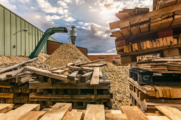 Crushing machine of wood and logs to process waste and transform into pellets