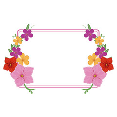 Decorative flowers square frame vector illustration graphic design