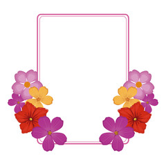 Decorative flowers square frame vector illustration graphic design