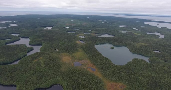Aerial view of the forest lake