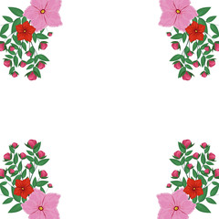 Decorative flowers square frame vector illustration graphic design